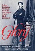As If It Were Glory: Robert Beecham's Civil War from the Iron Brigade to the Black Regiments