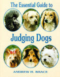 Essential Guide To Judging Dogs