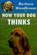 How Your Dog Thinks