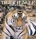 Tiger Jungle The Epic Tale Of Bandhavgar