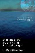 Shooting Stars Are The Flying Fish Of The Night