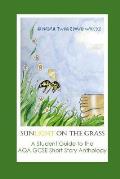Sunlight on the Grass: A Student Guide to the AQA Short Story Anthology