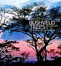 Bushveld Trees Lifeblood of the Transvaal Lowveld