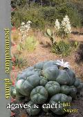 Permaculture Plants: agaves and cacti