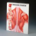 Trigger Points Understanding Myofascial