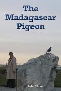 The Madagascar Pigeon