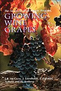 American Wine Society Presents Growing Wine Grapes