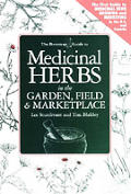 Bootstrap Guide To Medicinal Herbs In The Gard
