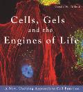Cells Gels & The Engines Of Life A New Unifying Approach to Cell Function