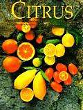 Citrus Complete Guide to Selecting & Growing More Than 100 Varieties for California Arizona Texas the Gulf Coast & Flo
