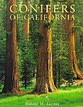 Conifers Of California