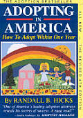 Adopting in America How to Adopt Within One Year