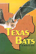 Texas Bats
