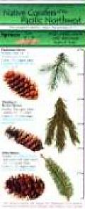 Ecopress Complete Guide To Native Conifers Of the Pacific Northwest