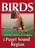 Birds Of The Puget Sound Region