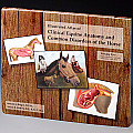 Illustrated Atlas of Clinical Equine Anatomy & Common Disorders of the Horse Volume 1 Musculoskeletal System & Lameness Disorders