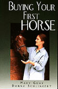 Buying Your First Horse