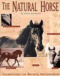 Natural Horse Foundations for Natural Horsemanship