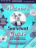 Algebra Survival Guide 1st Edition A Conversational Handbook for the Thoroughly Befuddled