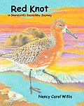 Red Knot A Shorebirds Incredible Journey