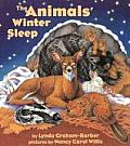 Animals Winter Sleep