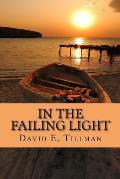 In the Failing Light: a memoir of love and cancer