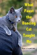 What Faust the Dancing Cat Taught Me
