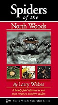 Spiders Of The North Woods
