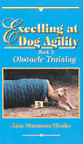 Excelling At Dog Agility Book 1 Obstacle