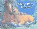 Sleep Pony Dreams