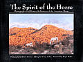 Spirit Of The Horse Photographs & Writ