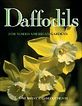 Daffodils For American Gardens