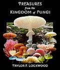 Treasures From The Kingdom Of Fungi