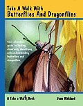 Take a Walk with Butterflies & Dragonflies