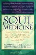 Soul Medicine Awakening Your Inner Bluep