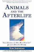 Animals & The Afterlife