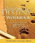 Chronicles of Destiny Workbook