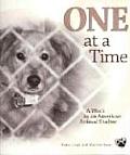 One at a Time A Week in an American Animal Shelter
