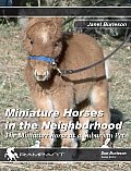 Miniature Horses In The Neighborhood