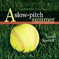 Slow Pitch Summer My Rookie Senior Softball Season