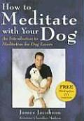 How to Meditate with Your Dog An Introduction to Meditation for Dog Lovers