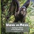 Words on Birds: Feathered Friends in the Dandenongs