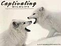 Captivating Wildlife Images From America
