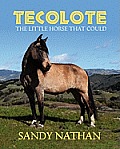 Tecolote: The Little Horse That Could
