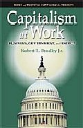 Capitalism at Work: Business, Government and Energy: Book I in a Trilogy on Political Capitalism