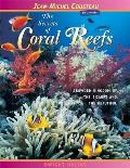 The Secrets of Coral Reefs: Crowded Kingdom of the Bizarre and the Beautiful