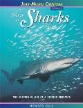 A Frenzy of Sharks: The Surprising Life of a Perfect Predator