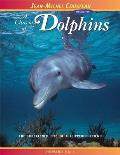 A Charm of Dolphins: The Threatened Life of a Flippered Friend