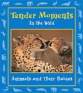 Tender Moments In The Wild Animals & The