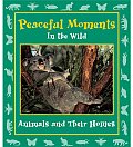 Peaceful Moments In The Wild Animals &
